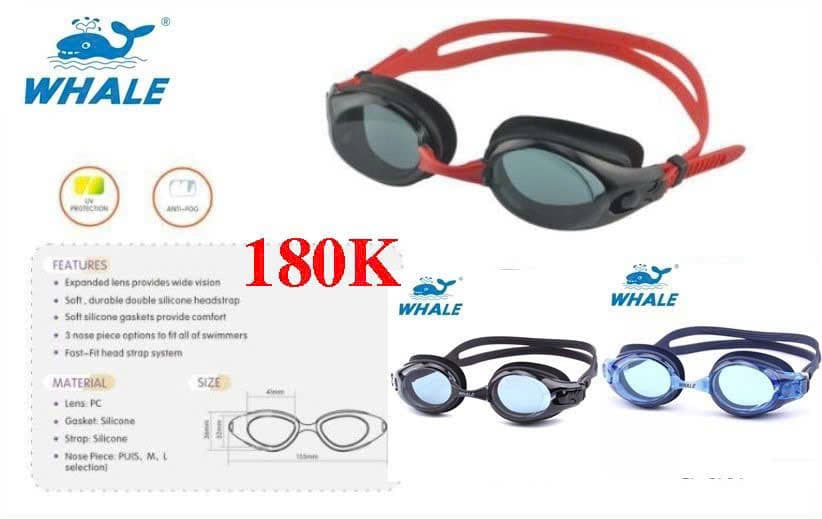Kính bơi Whale người lớn